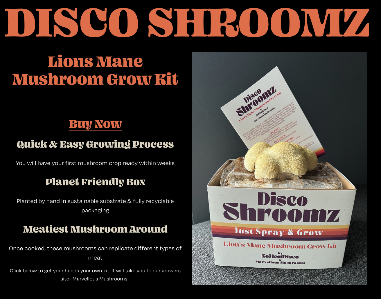 Marvellous Mushrooms: Lion's Mane Kit